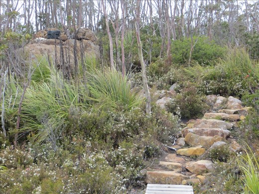 Memorial to Geeves cousins on Hartz Mountain Track