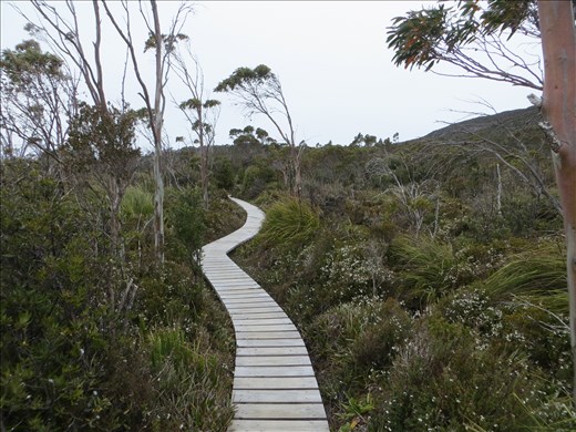 Boardwalk Hartz Mountain