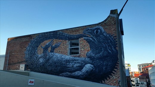 Street art in Dunedin