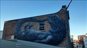 Street art in Dunedin: by johnsteel, Views[333]
