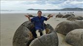 Moeraki Marbles : by johnsteel, Views[236]