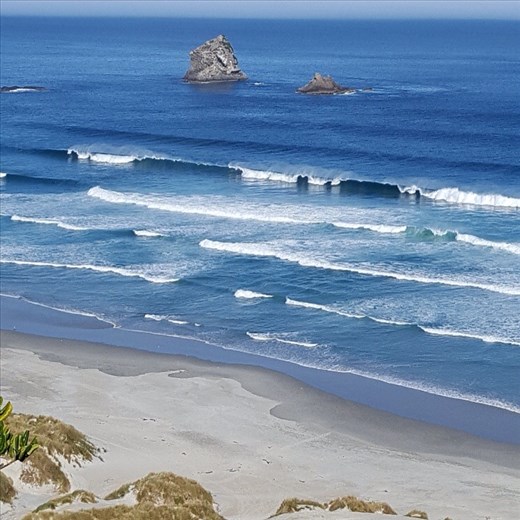 Victory Beach near Dunedin