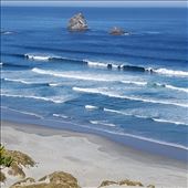 Victory Beach near Dunedin: by johnsteel, Views[245]