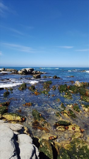 Sea bed rise after earthquake Kaikoura