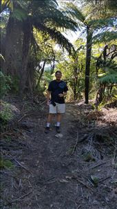 Walking part of Queen Charlotte track: by johnsteel, Views[330]