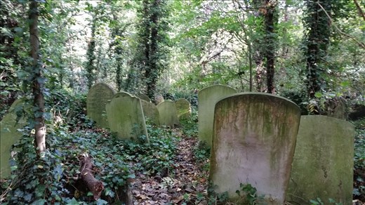 Abney Park Cemetery