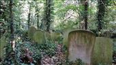 Abney Park Cemetery: by johnsteel, Views[298]