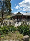 Pub in the Paddock: by johnsteel, Views[241]