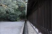Meji Shrine: by jojuin, Views[254]