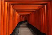 Fushimiinari Shrine: by jojuin, Views[230]