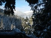 by joliver4567, Views[189]