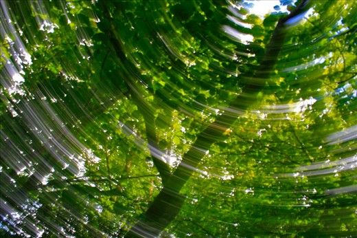 Life can go faster, but nature still there if we leave it alone.