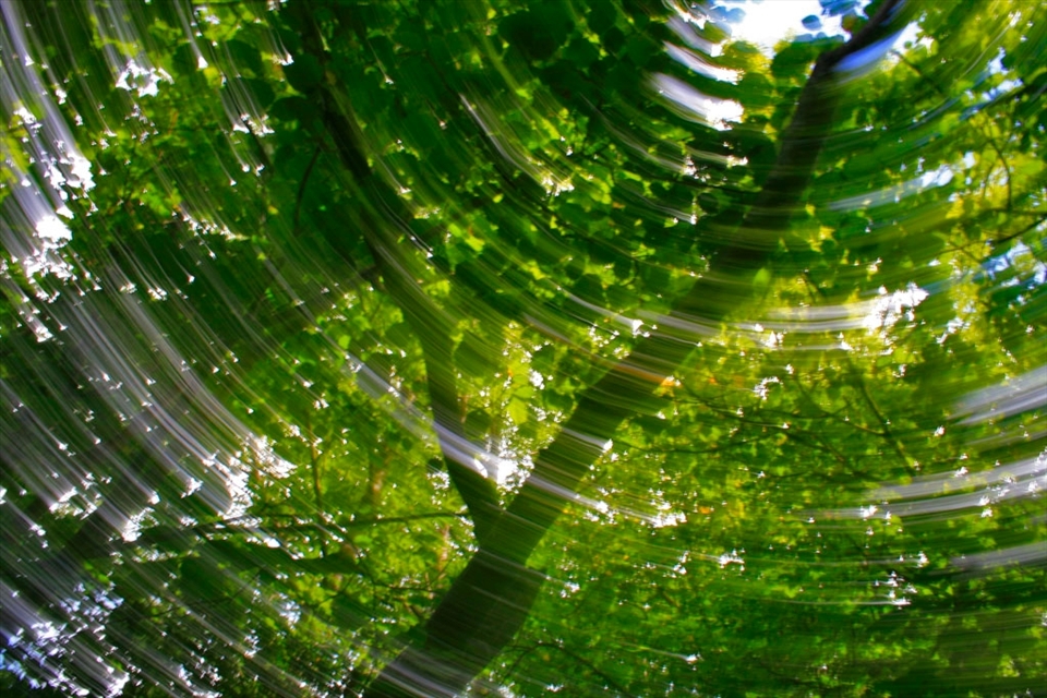 Life can go faster, but nature still there if we leave it alone.