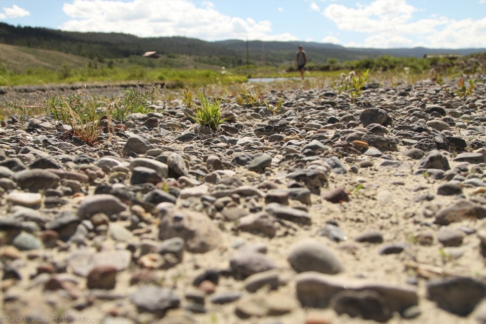 Wyoming can be an extremely dry place, but where there are rivers small vegetation manages to poke through the sandy soil.