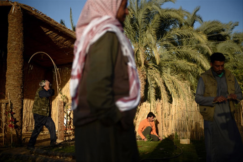 Egyptian farmers work in the Western Desert village of Al-Haiz. February 2014.