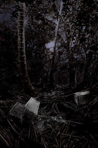 Sugar Plantation Runes of St. John Island