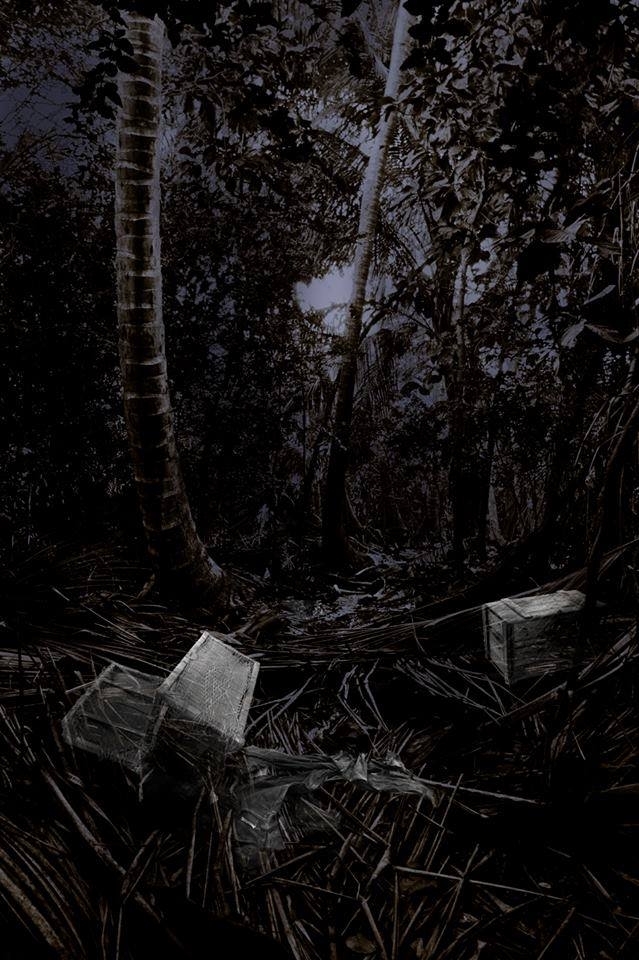 Sugar Plantation Runes of St. John Island