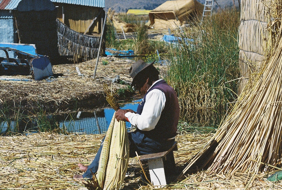 The floating islander. 