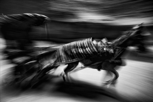 A horse and carriage charge down the 1.5km siq at the ancient Nabatean city of Petra, Jordan. The historic site of Petra is one of the best preserved ancient sites in the world and is one of the 7 new wonders of the world. The city is carved out of the rose rock of the mountain walls, and offers incredibly complex and ornate monuments and tombs, it is understandably one of Jordan’s most visited tourist attractions. 
