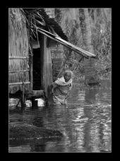 by jophelboteroybiosa, Views[430]