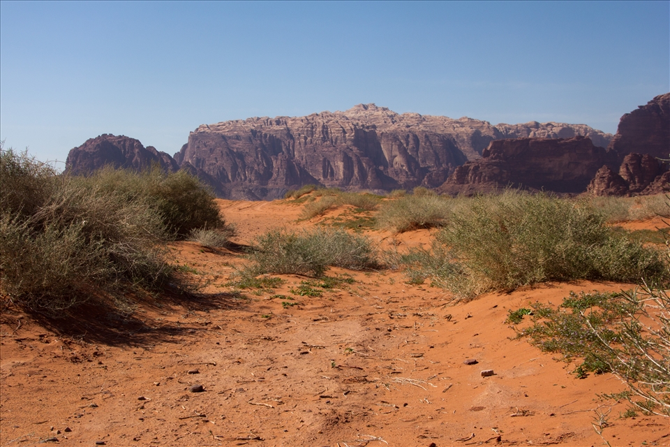 Wadi Rum desert