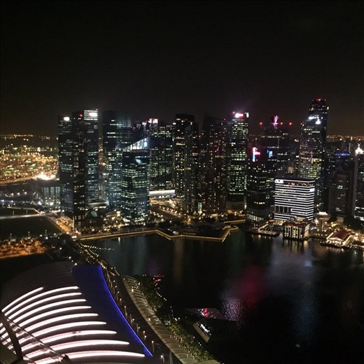 Singapore Skyline from the Skybar