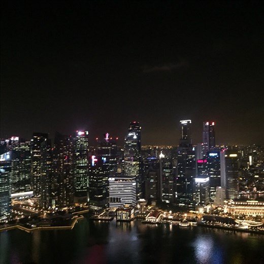 Singapore Skyline from the Skybar