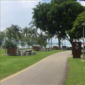 by jorjejuanita, Views[356]