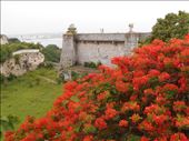 Fort de San Carlos.: by jorjejuanita, Views[329]