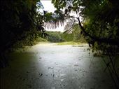 Hiking around Arenal Volcano. The lake.: by jorjejuanita, Views[295]