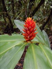 by jorjejuanita, Views[266]