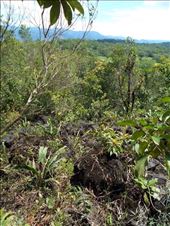 View from the top of Arenal Volcano. (Was a really easy hike).: by jorjejuanita, Views[346]