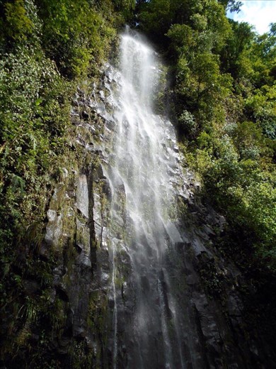 75m high, of gushing water. It's big. 