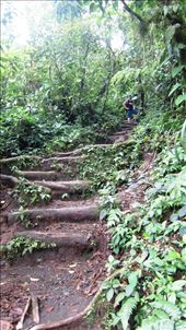Jorje hiking Chato Volcano. No path here, just make your way up the volcano inbetween the rain and mud trails.: by jorjejuanita, Views[203]