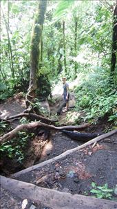Very steep hiking up Chato Volcano. Why don't people take hiking poles for this sort of thing.: by jorjejuanita, Views[333]