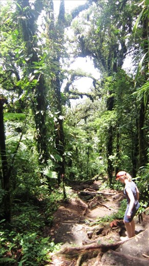 Hiking Chato Volcano.