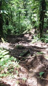 Hiking Chato Volcano.: by jorjejuanita, Views[432]