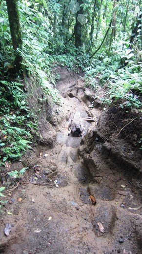 Hiking Chato Volcano. In hindsight, this was a little bit of practice for the Lost City hike in Colombia.