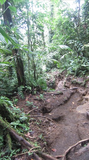 Hiking Chato Volcano.