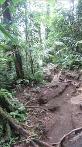 Hiking Chato Volcano.: by jorjejuanita, Views[431]