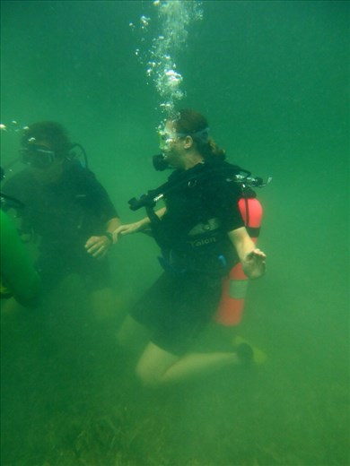 Scuba diving skills before the dive down to the wreck.