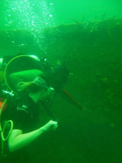 The wreck. Fun for the first ever dive. Visibility only so-so re the green water colour. 