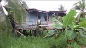 Panamanian houses on Colon Island.: by jorjejuanita, Views[287]