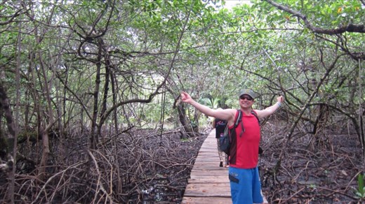 Walking through the swamp and mangroves to Red Frog Beach