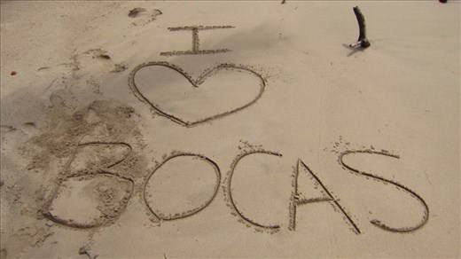 I-heart-Bocas