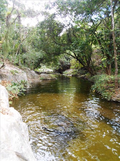The first 20 minutes of the hike weren't hard and everyone stopped at the swimming hole for dip.