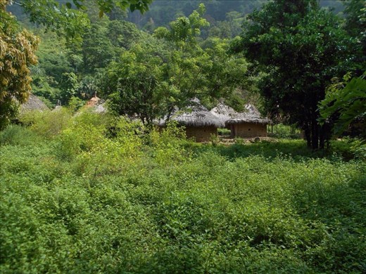 Houses of the Kogi people who live in the Sierra Nevada mountain range we hiked.