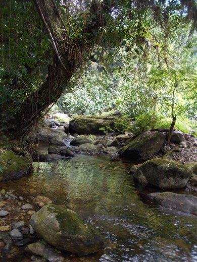 Another water crossing. Not too tricky so just leap frog across the rocks.