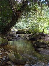 Another water crossing. Not too tricky so just leap frog across the rocks.: by jorjejuanita, Views[351]