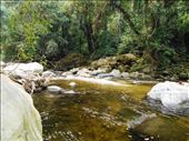 Following the river.: by jorjejuanita, Views[184]